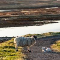 Fotoreise Isle of Skye & Äußeren Hebriden