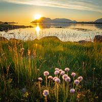 Lofoten Urlaub