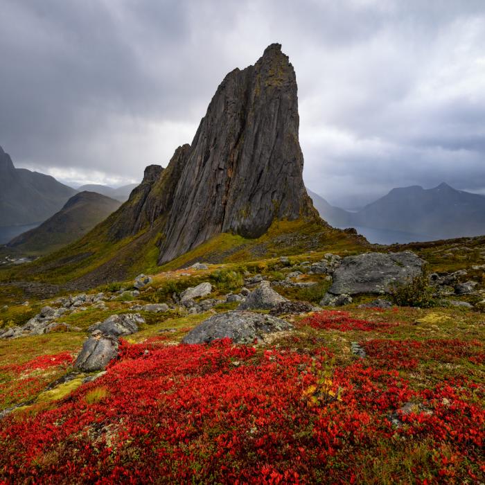 Fotoreise Senja