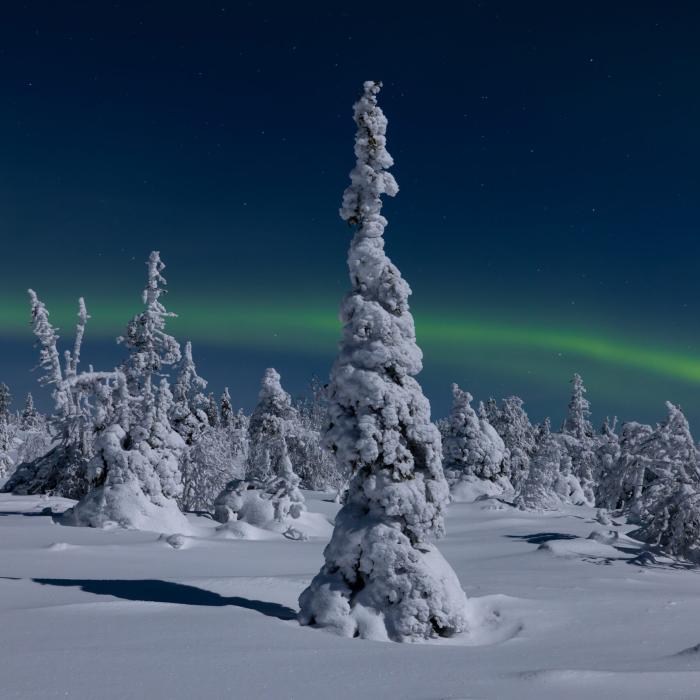 Lappland Fotoreise Nordlicht Fotografie